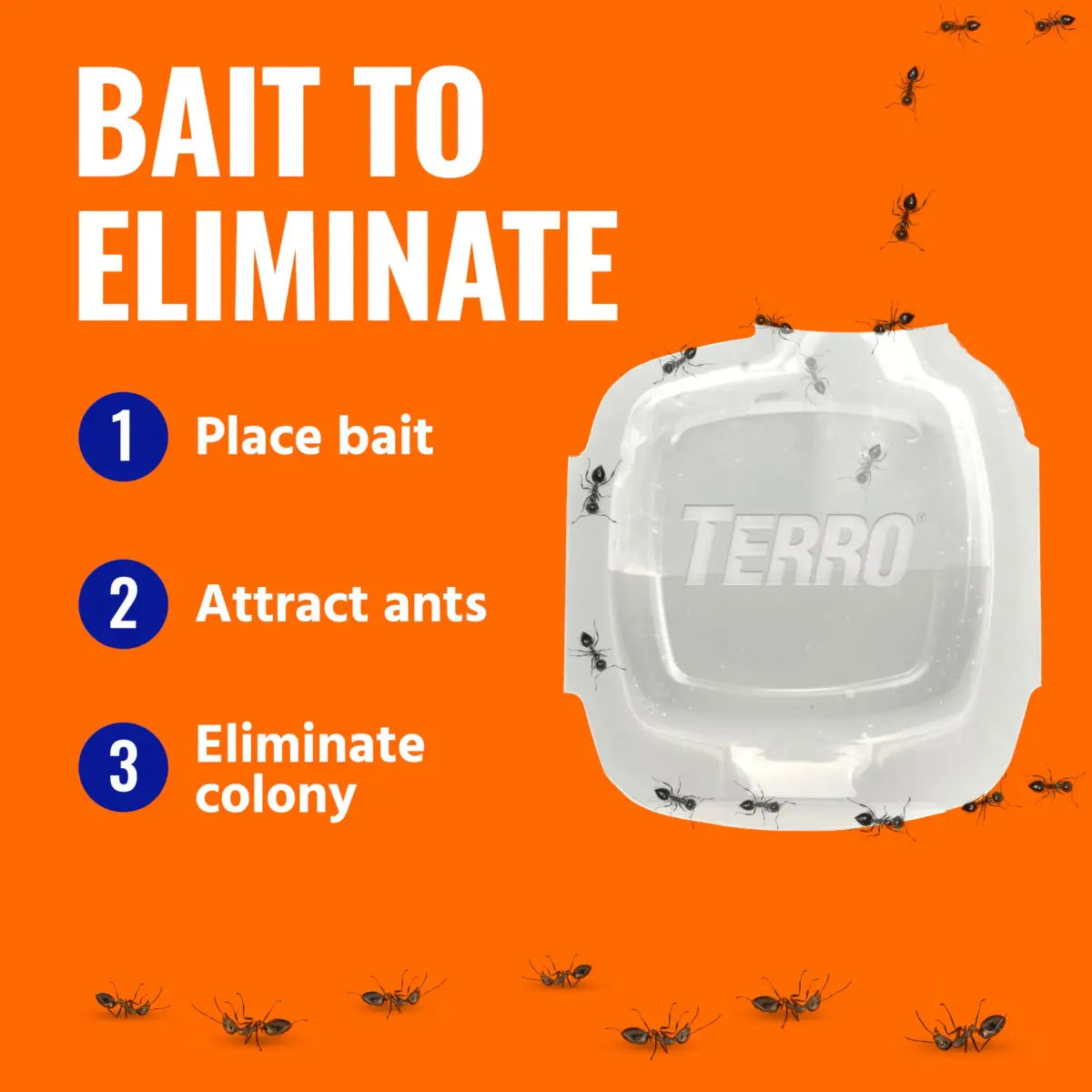 TERRO Indoor Liquid Ant Baits with Adhesive Strips for Discreet Baiting - 20 Count | Kills Visible Ants and Hidden Colonies - view 6