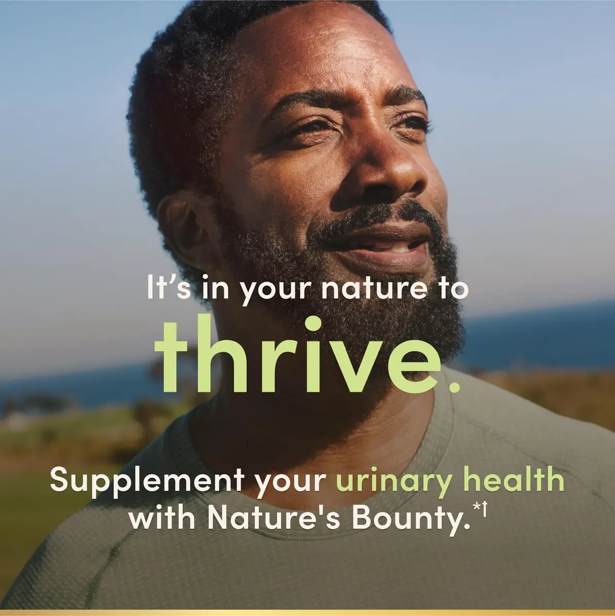 Nature's Bounty Saw Palmetto Support for Prostate and Urinary Health, Herbal Supplement, 450mg, 250 Capsules (Pack of 2) | Supports Men's Wellness - view 5