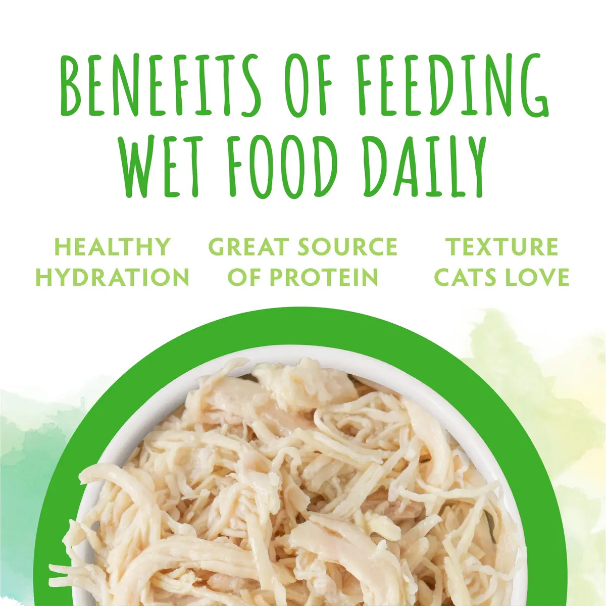Soulistic Originals Wet Cat Food Good Karma Chicken Dinner in Gravy 3oz Can Pack of 12 | Balanced, Natural Nourishment - view 5
