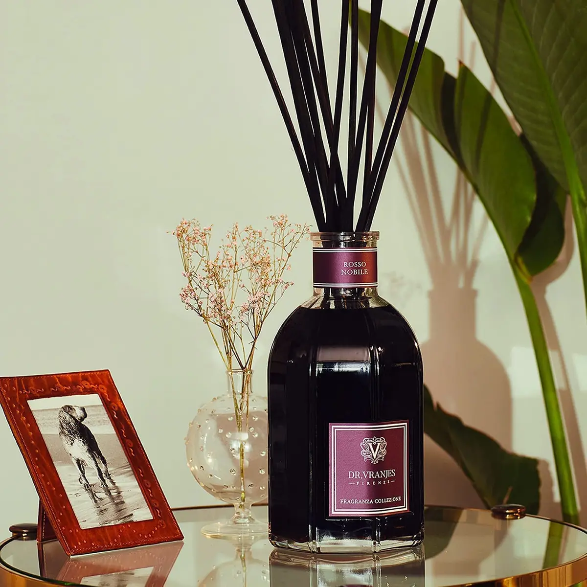 Dr. Vranjes Rosso Nobile 250 ml Reed Diffuser + Elegant Shopping Bag | Italian Luxury Home Fragrance - view 7