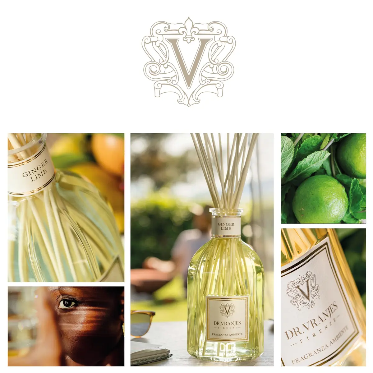 Dr. Vranjes Ginger Lime 250 ml Reed Diffuser + Elegant Shopping Bag | Bright Fruity & Spicy Home Fragrance - view 3