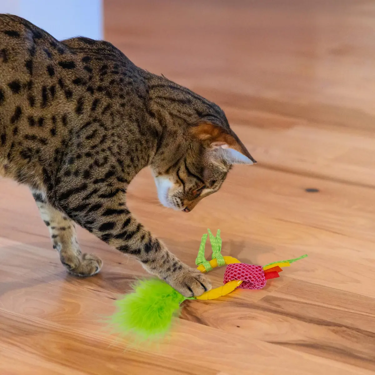 Catstages Dental Pineapple Teether Cat Toy | Textured Mesh & Catnip Oil Infused for Teething Relief - view 6