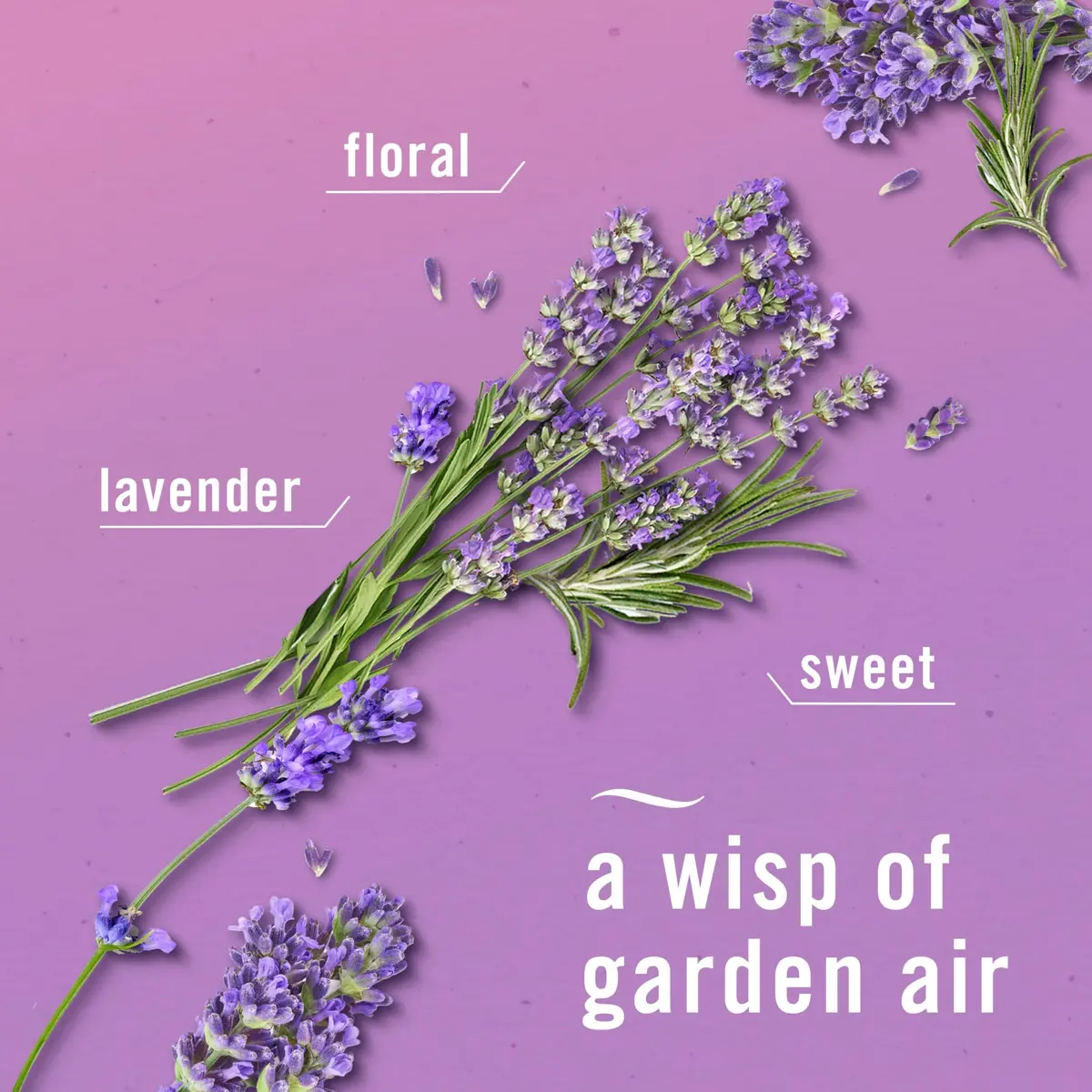 Febreze Fade Defy Plug Air Freshener Refills, Twilight Lavender Scent, 3.5 Fl Oz (0.87oz x 4 Refills) - view 3