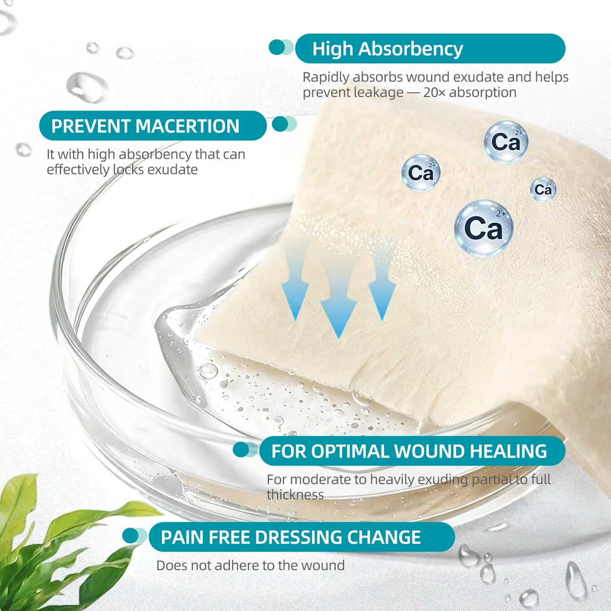 Dimora Calcium Alginate Wound Dressing 4'' x 4'' | Heavy Absorbent, Non-Stick, Sterile Gauze for Moderate to Heavy Exudate Wounds - view 4