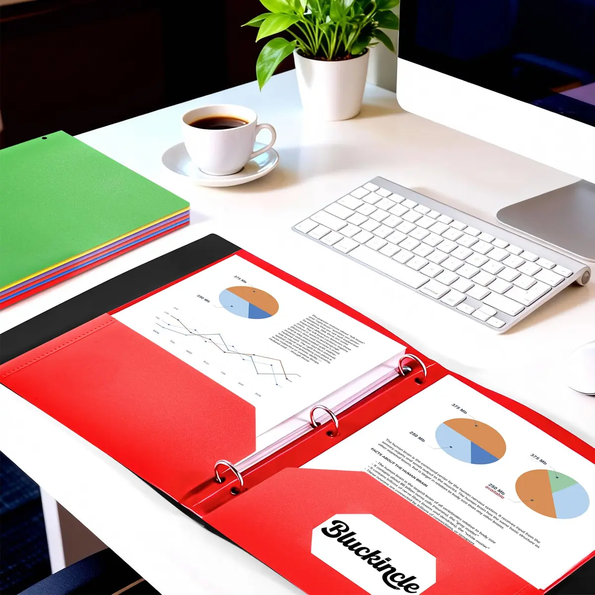 Bluckincle Plastic Folders with Pockets 6 Pack | Bright Color, 3 Hole Punched, 8.5"x11" Capacity - view 7
