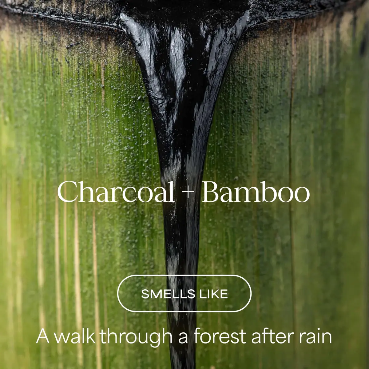 RAW SUGAR Charcoal Bamboo Reset Body Wash 20 Fl Oz | Hydrating & Detoxifying Vegan Gel - view 2