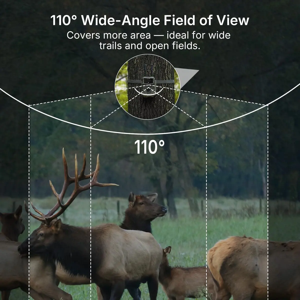 GardePro E6 2.0 WiFi Trail Camera 4K Video 64MP Dual Antennas | Outdoor Wildlife Monitoring - view 7