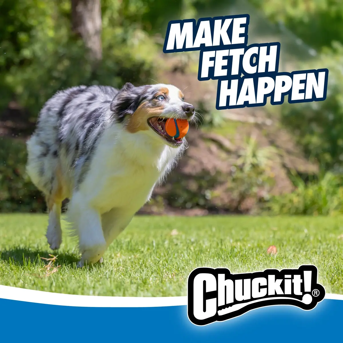 Chuckit! Ultra Ball Dog Toy - Medium 2.5-inch Rubber Fetch Ball | 3-Pack, Floating, High Bounce - view 2