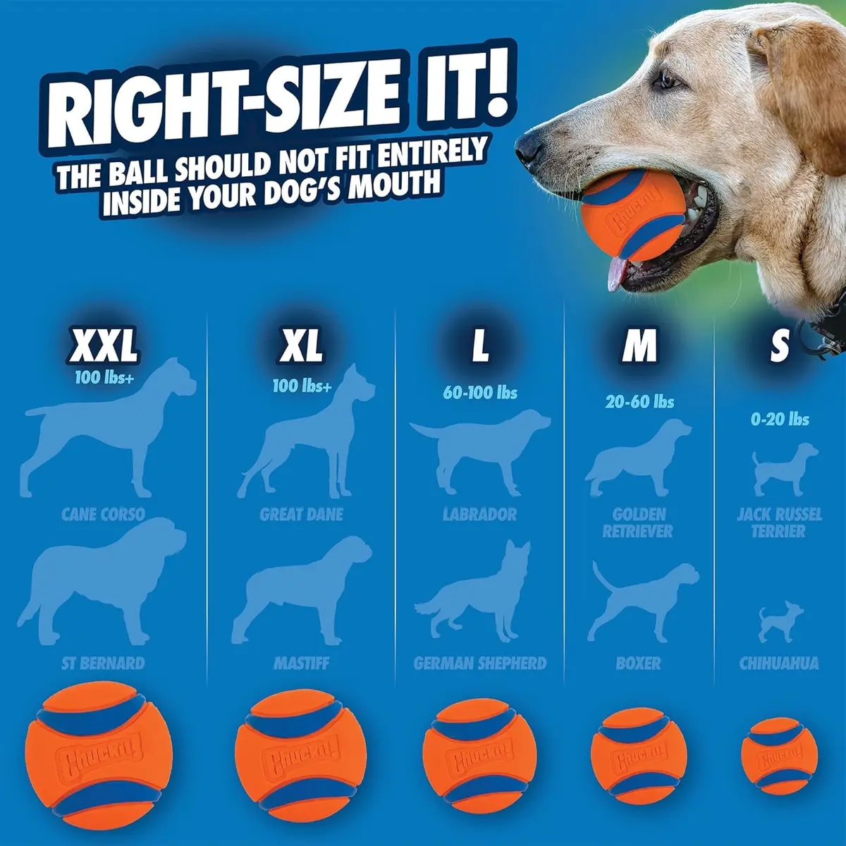 Chuckit! Ultra Ball Dog Toy - Medium 2.5-inch Rubber Fetch Ball | 3-Pack, Floating, High Bounce - view 4