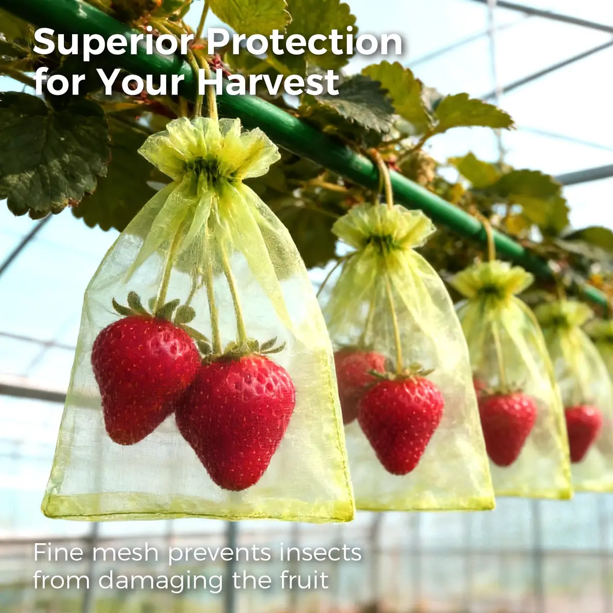Sukh Fruit Protection Bags 4"x6" | Mesh Organza Fruit Cover for Tomatoes & Grapes, Reusable - view 6