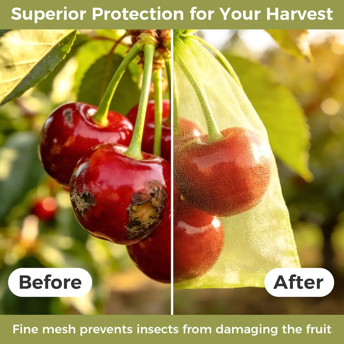 Sukh Fruit Protection Bags 4"x6" | Mesh Organza Fruit Cover for Tomatoes & Grapes, Reusable - view 4