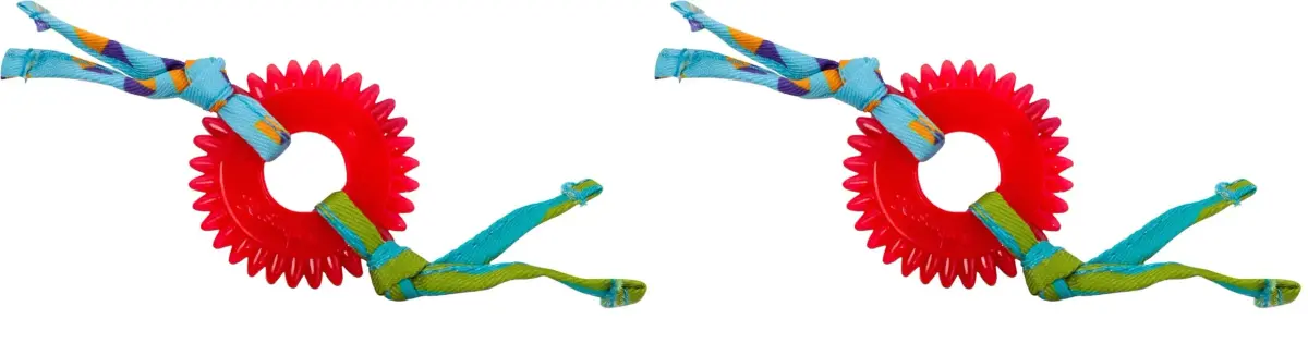 Catstages Kitty Chew Wheel Dental Cat Toy 2-Pack | Infused with Catnip Oil for Healthy Chewing - main product image