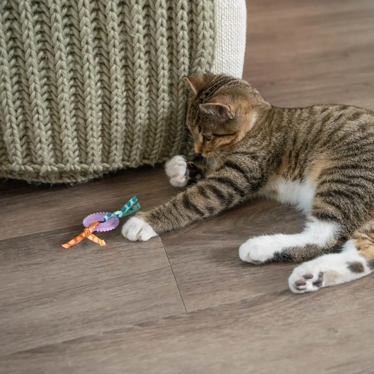 Catstages Kitty Chew Wheel Dental Cat Toy 2-Pack | Infused with Catnip Oil for Healthy Chewing - view 7