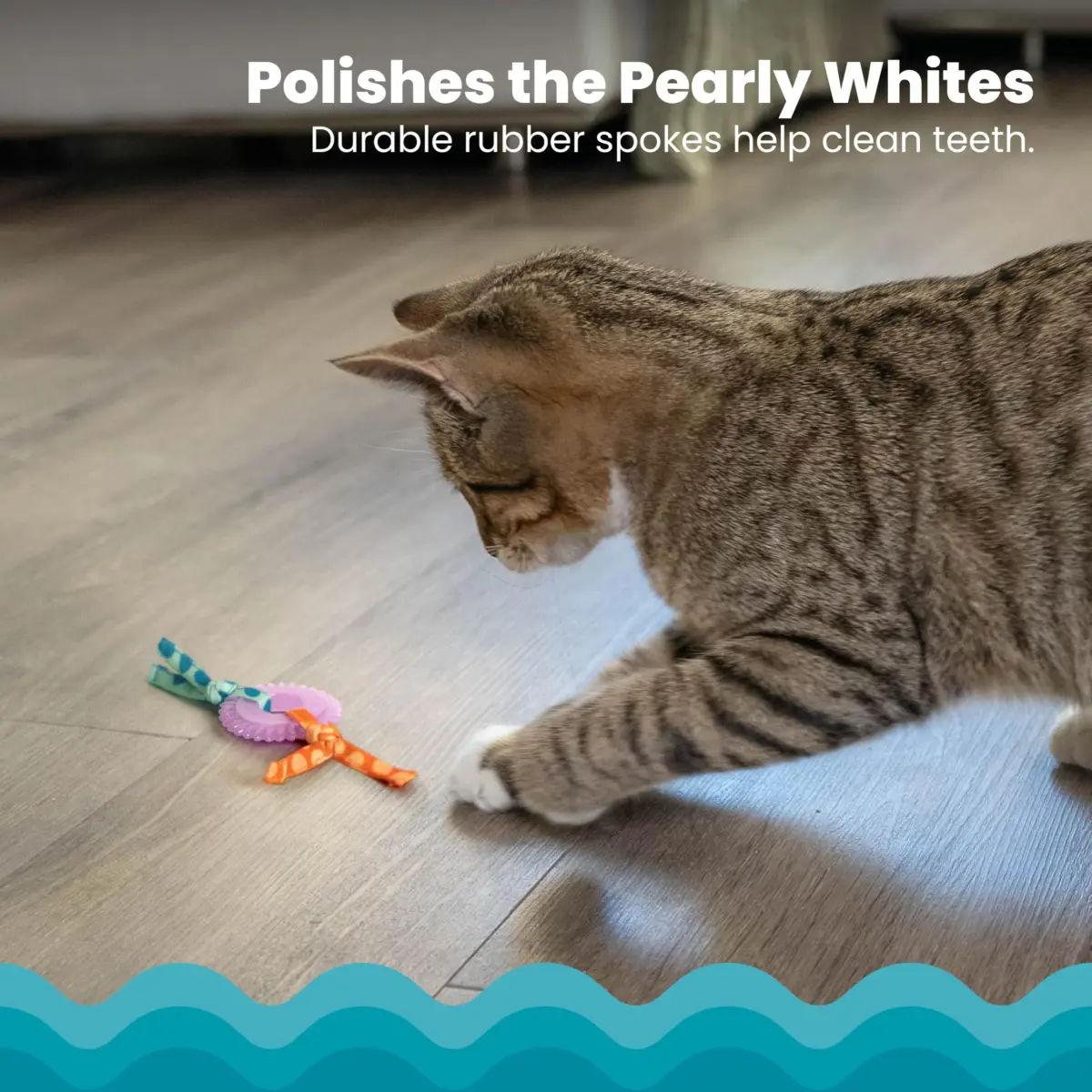 Catstages Kitty Chew Wheel Dental Cat Toy 2-Pack | Infused with Catnip Oil for Healthy Chewing - view 3