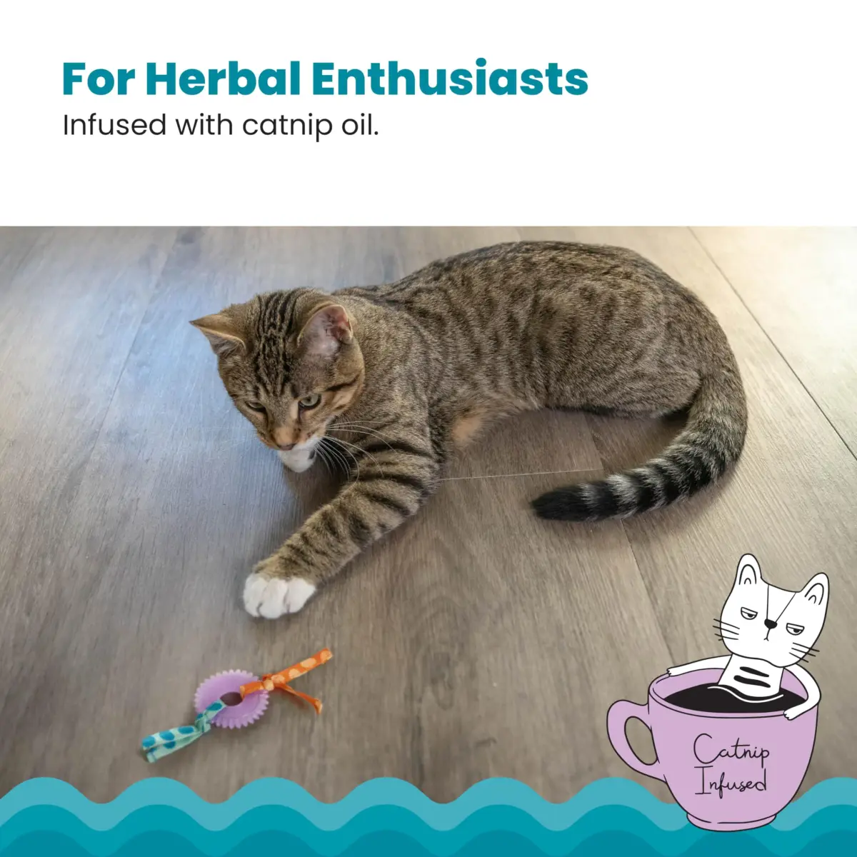 Catstages Kitty Chew Wheel Dental Cat Toy 2-Pack | Infused with Catnip Oil for Healthy Chewing - view 4