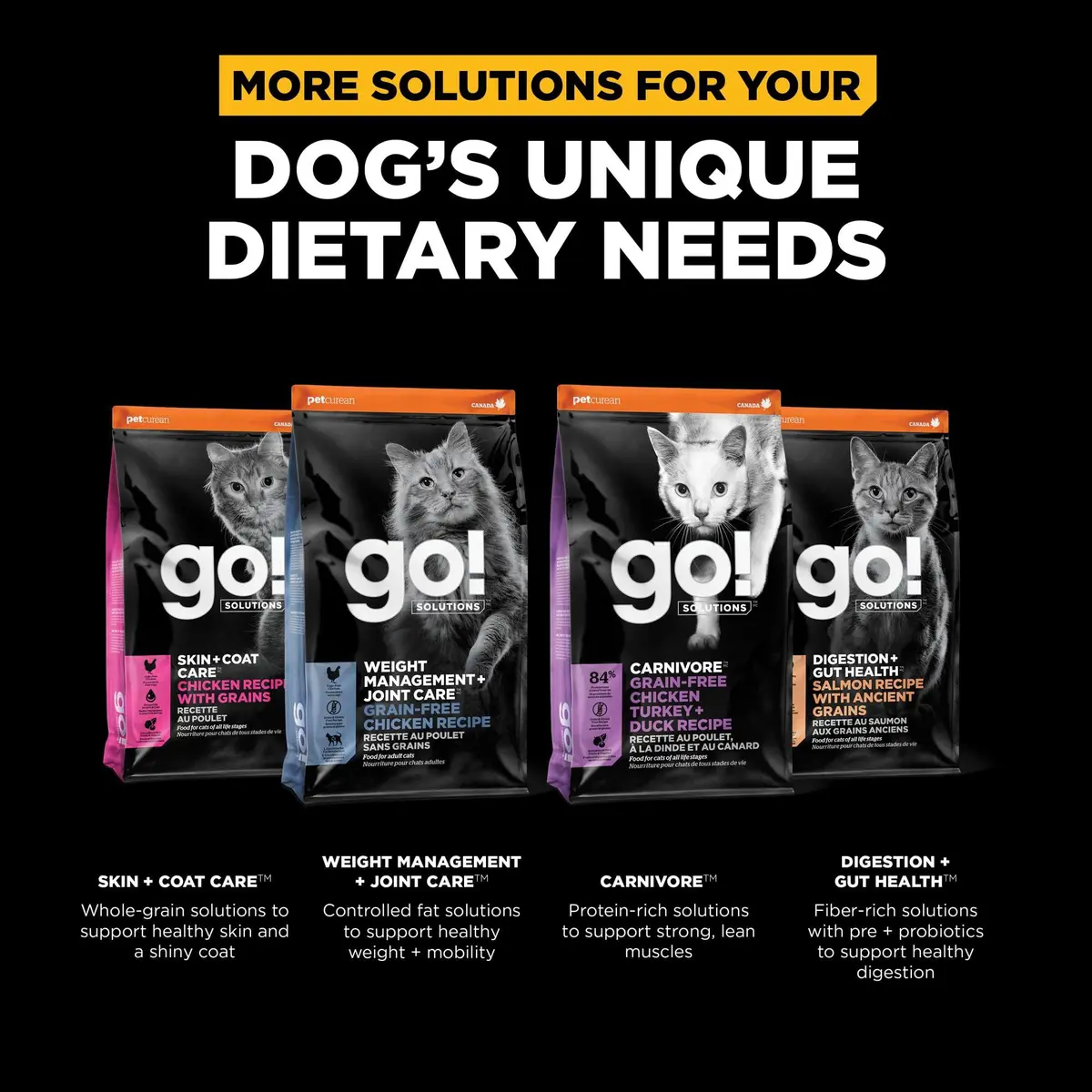 Go! Solutions Insect Protein Grain-Free Dry Cat Food 3 lb Bag | Supports Sensitive Stomach & Allergies - view 5