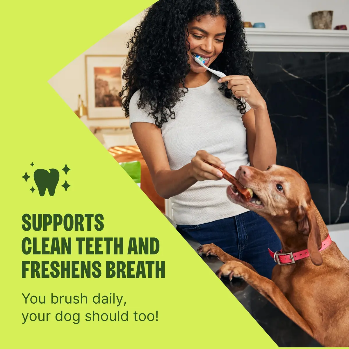 Whimzees Natural Dog Dental Treat XS 4.2 oz (119 g) | VOHC Accepted Chews for Clean Teeth & Fresh Breath - view 4