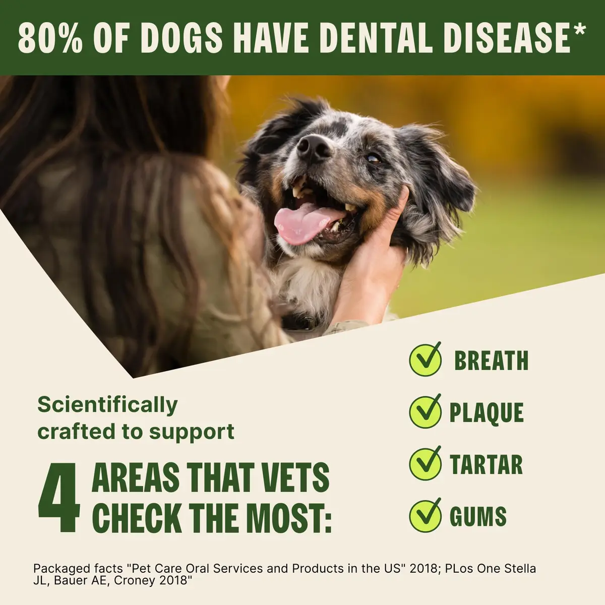 Whimzees Natural Dog Dental Treat Large Size 4.2 oz (119 g) Bag, 2 Count | VOHC Accepted Chews for Plaque & Tartar Control - view 6