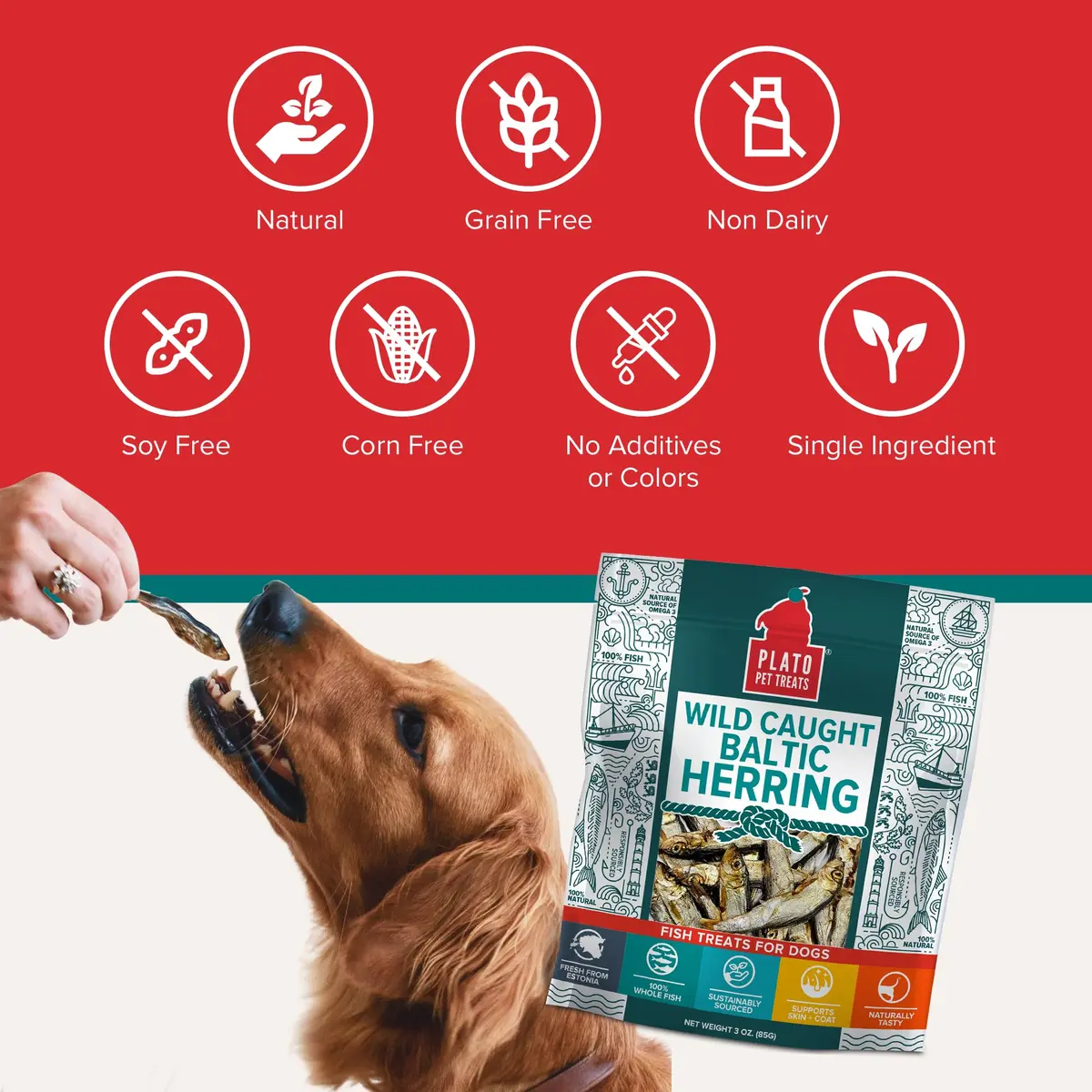 PLATO Fish Dog Treats Wild Caught Baltic Herring 8.5 oz | Natural Omega-3 Support - view 6