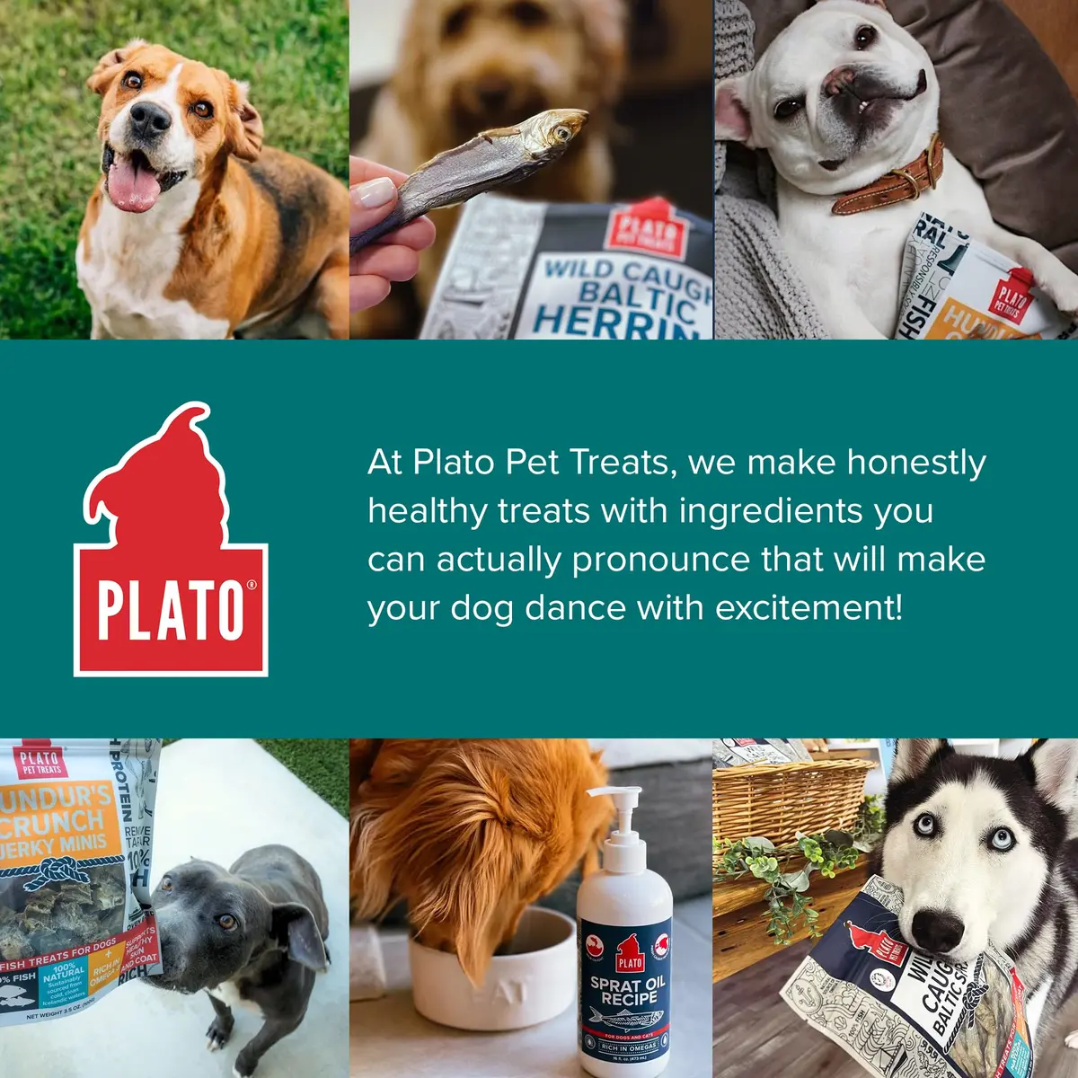 PLATO Fish Dog Treats Wild Caught Baltic Herring 8.5 oz | Natural Omega-3 Support - view 7