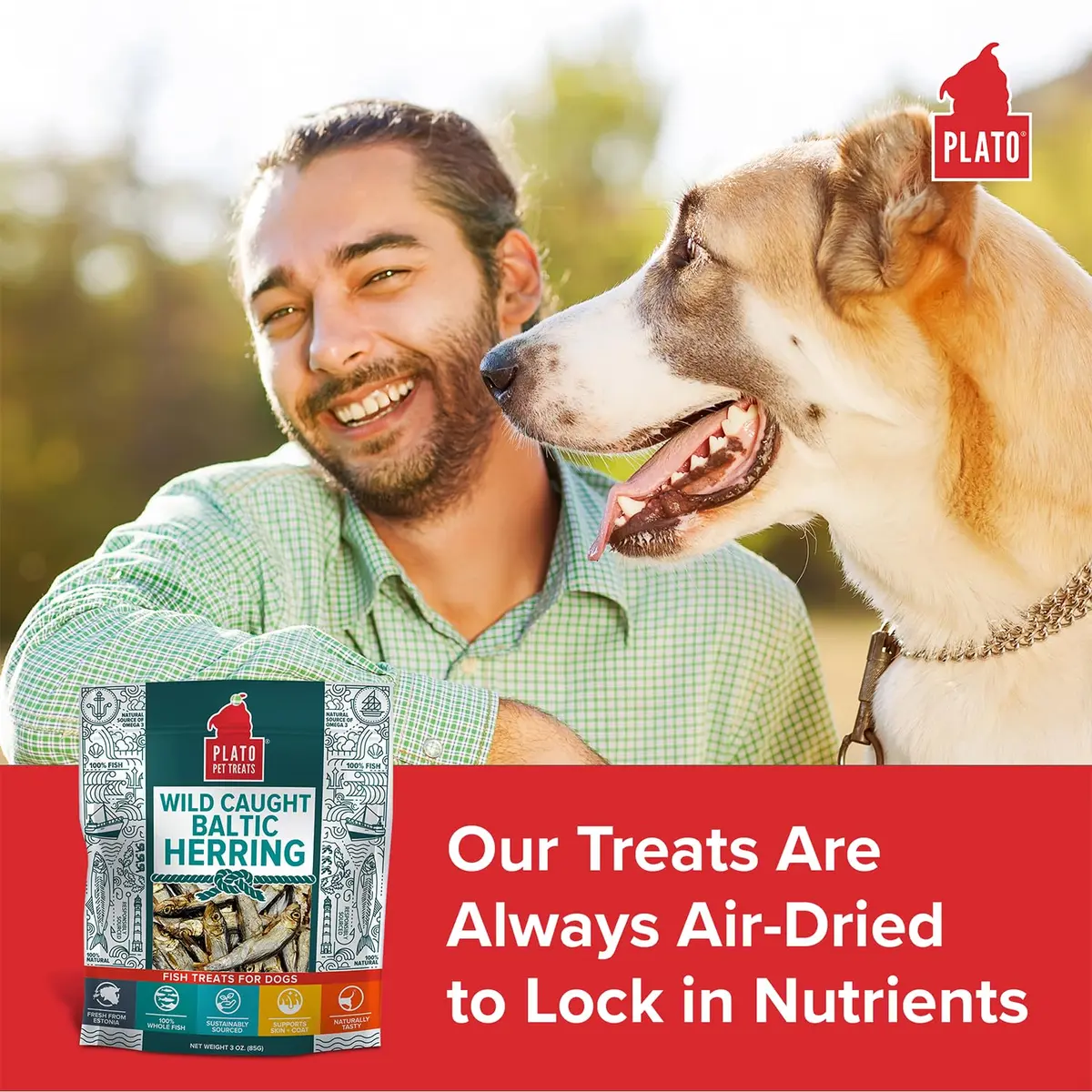PLATO Fish Dog Treats Wild Caught Baltic Herring 8.5 oz | Natural Omega-3 Support - view 3