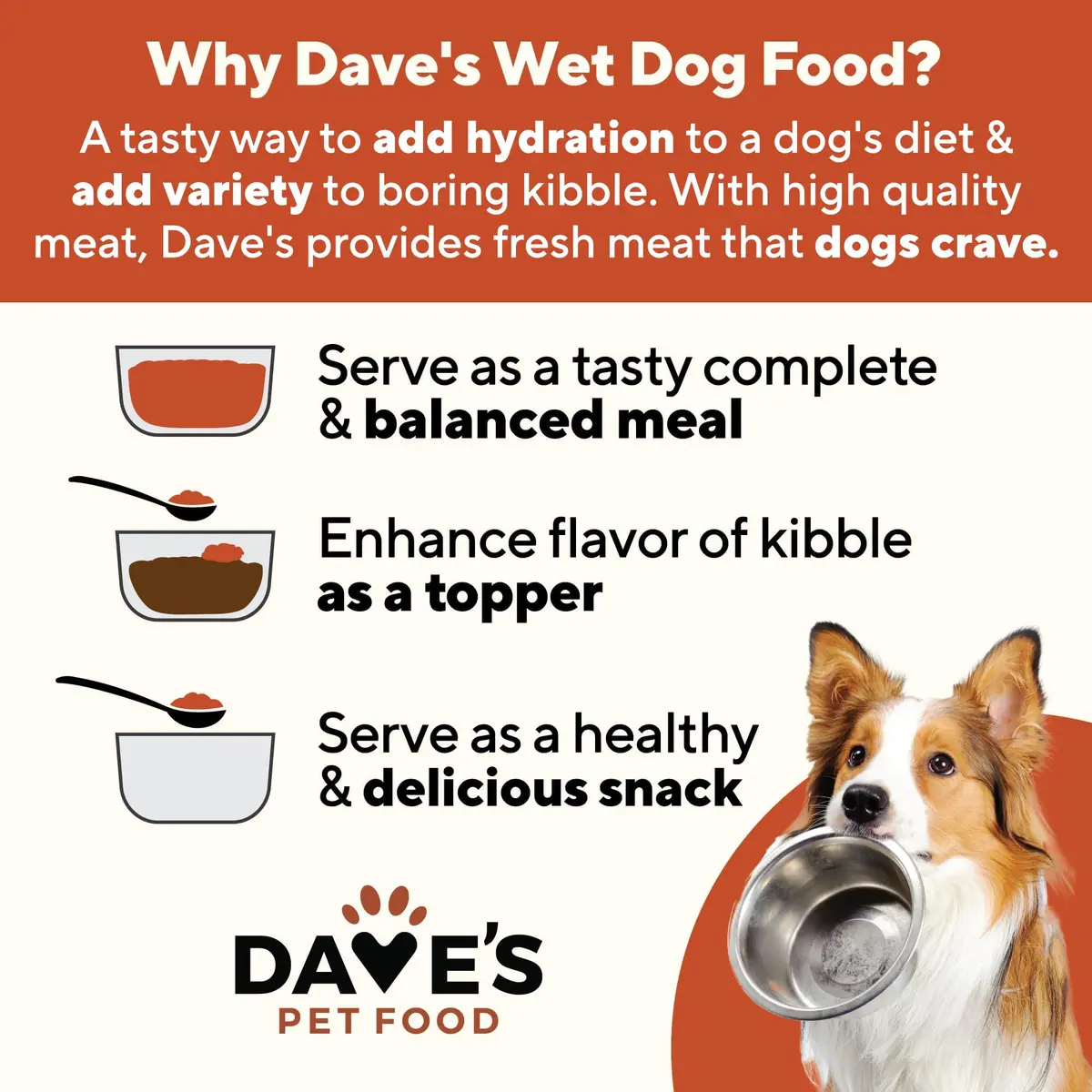 Dave's Pet Food Wet Canned Dog Food, Chunky Chicken Stew in Gravy, 13.2oz | Supports digestion & immune health - view 3
