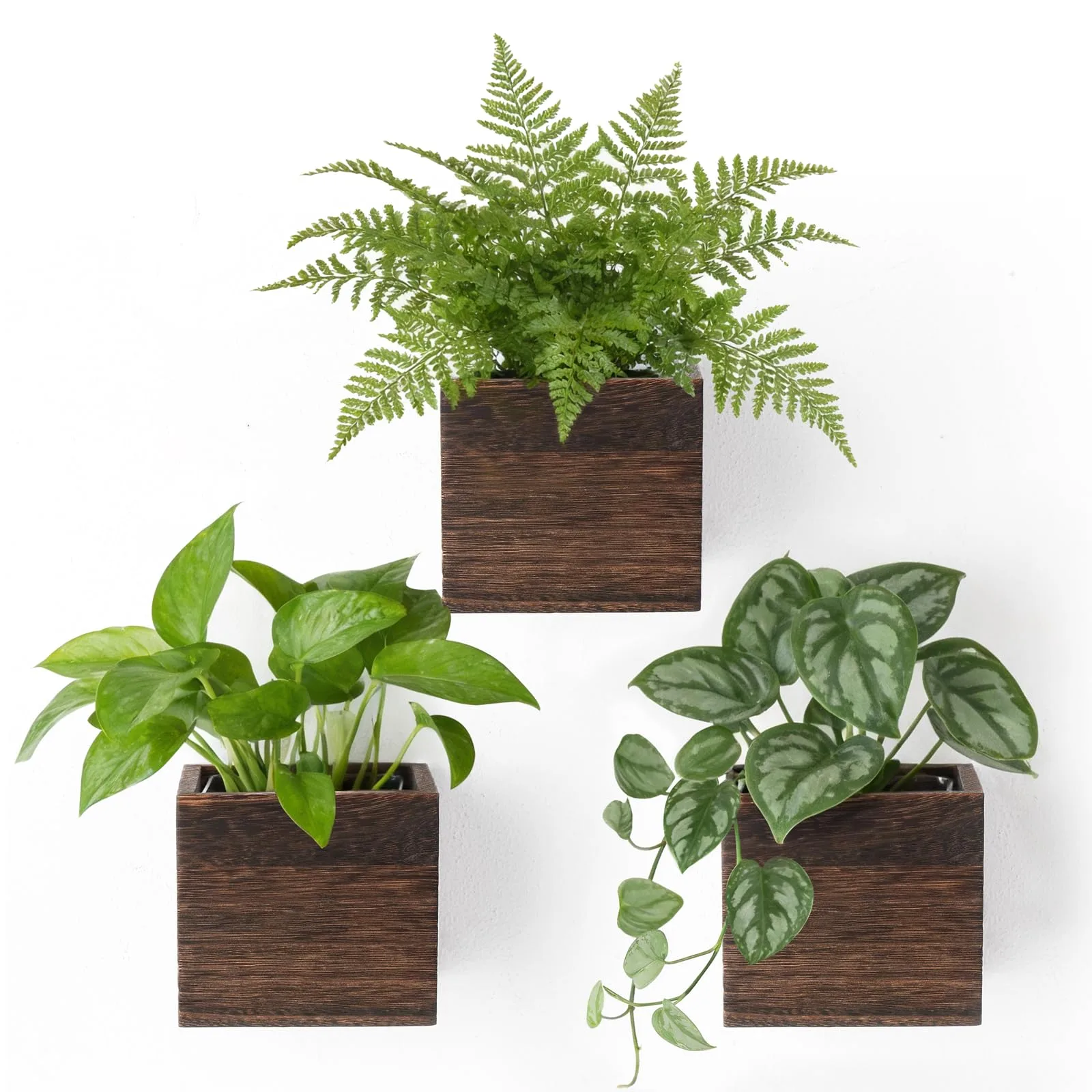 Wall Planters