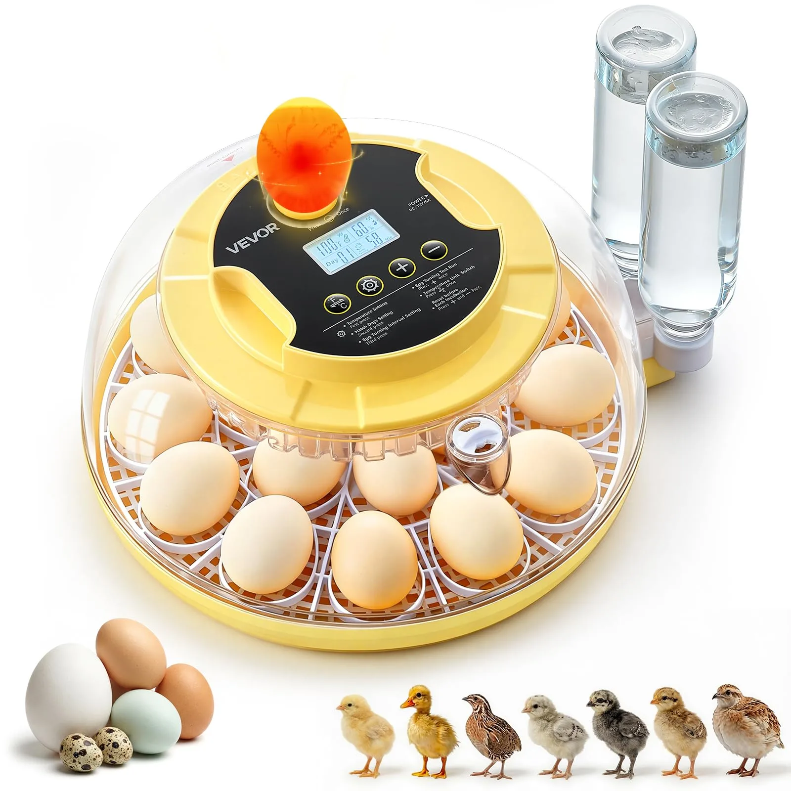 Poultry Care