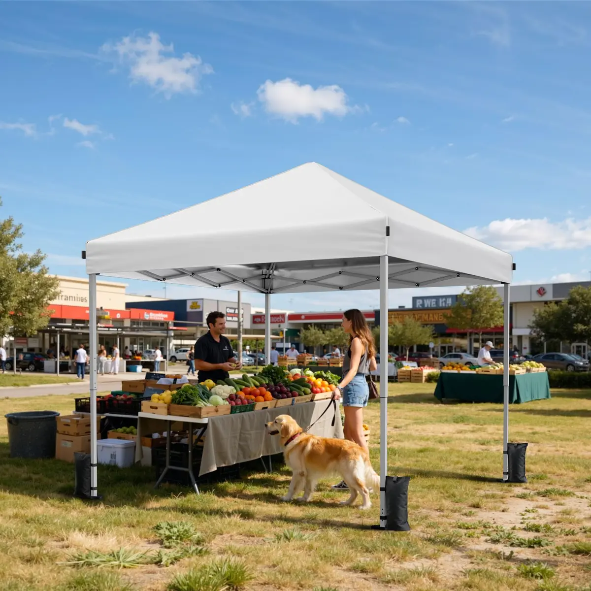 Driftalia 10x10 Pop Up Canopy Tent One-Push Center Lock, Portable Shelter - view 7