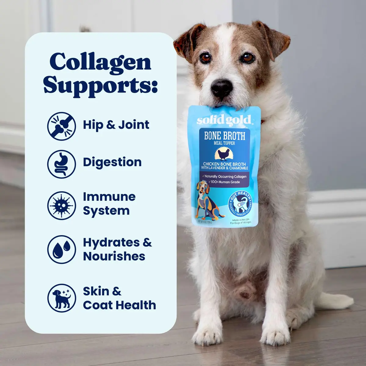 Solid Gold Chicken Bone Broth for Dogs | Gut Health & Hydration Support (80-120 chars) - view 5