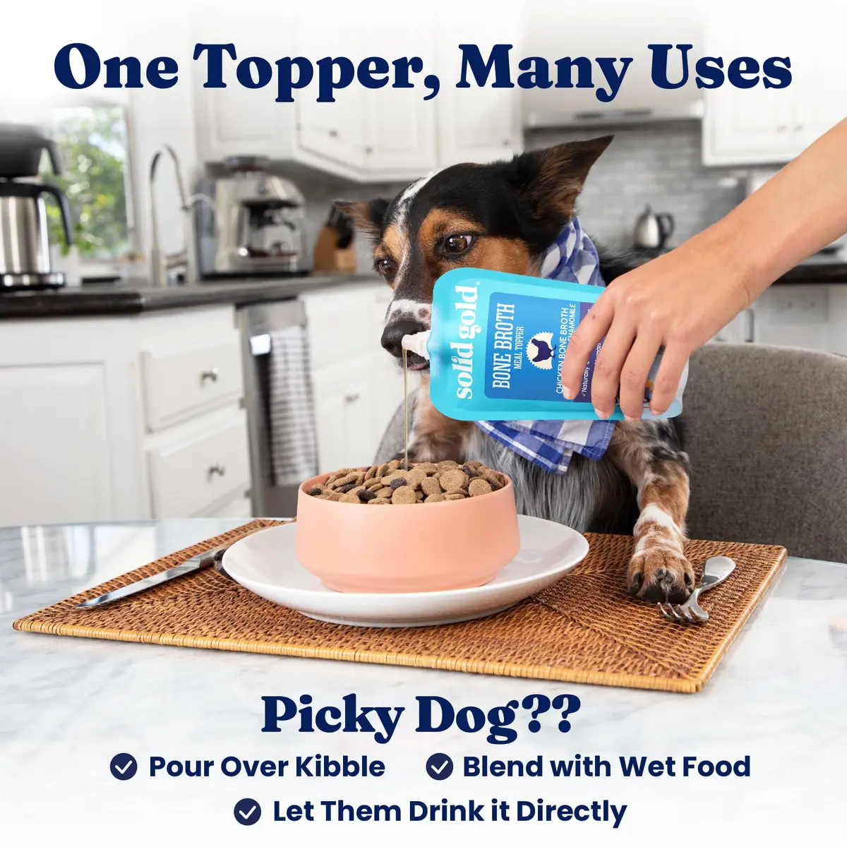 Solid Gold Chicken Bone Broth for Dogs | Gut Health & Hydration Support (80-120 chars) - view 6