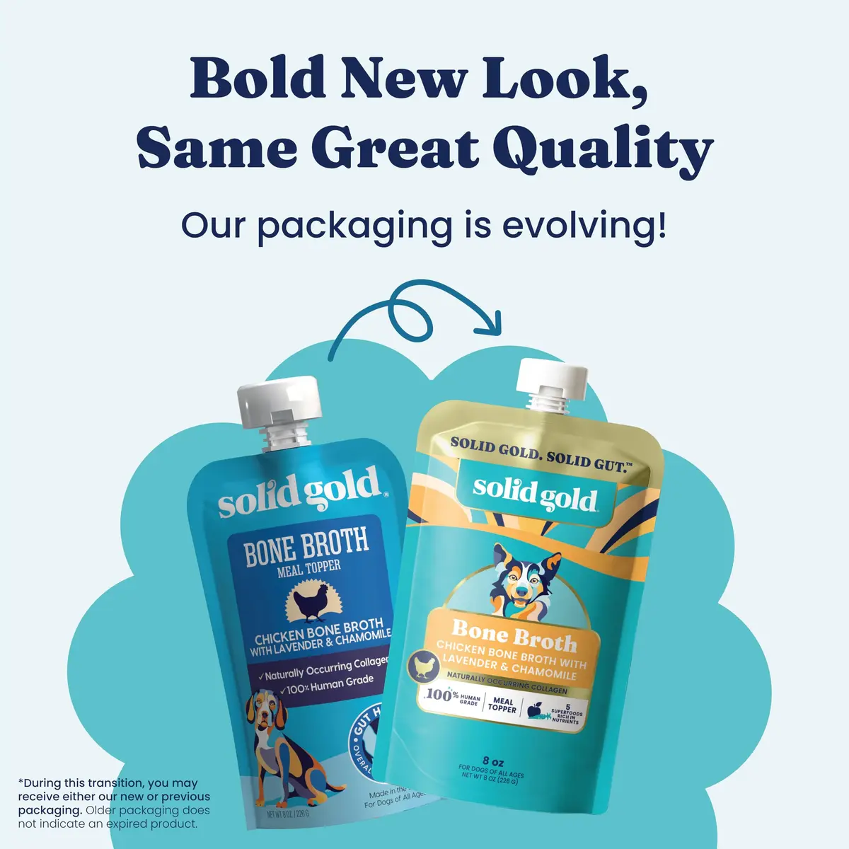 Solid Gold Chicken Bone Broth for Dogs | Gut Health & Hydration Support (80-120 chars) - view 4