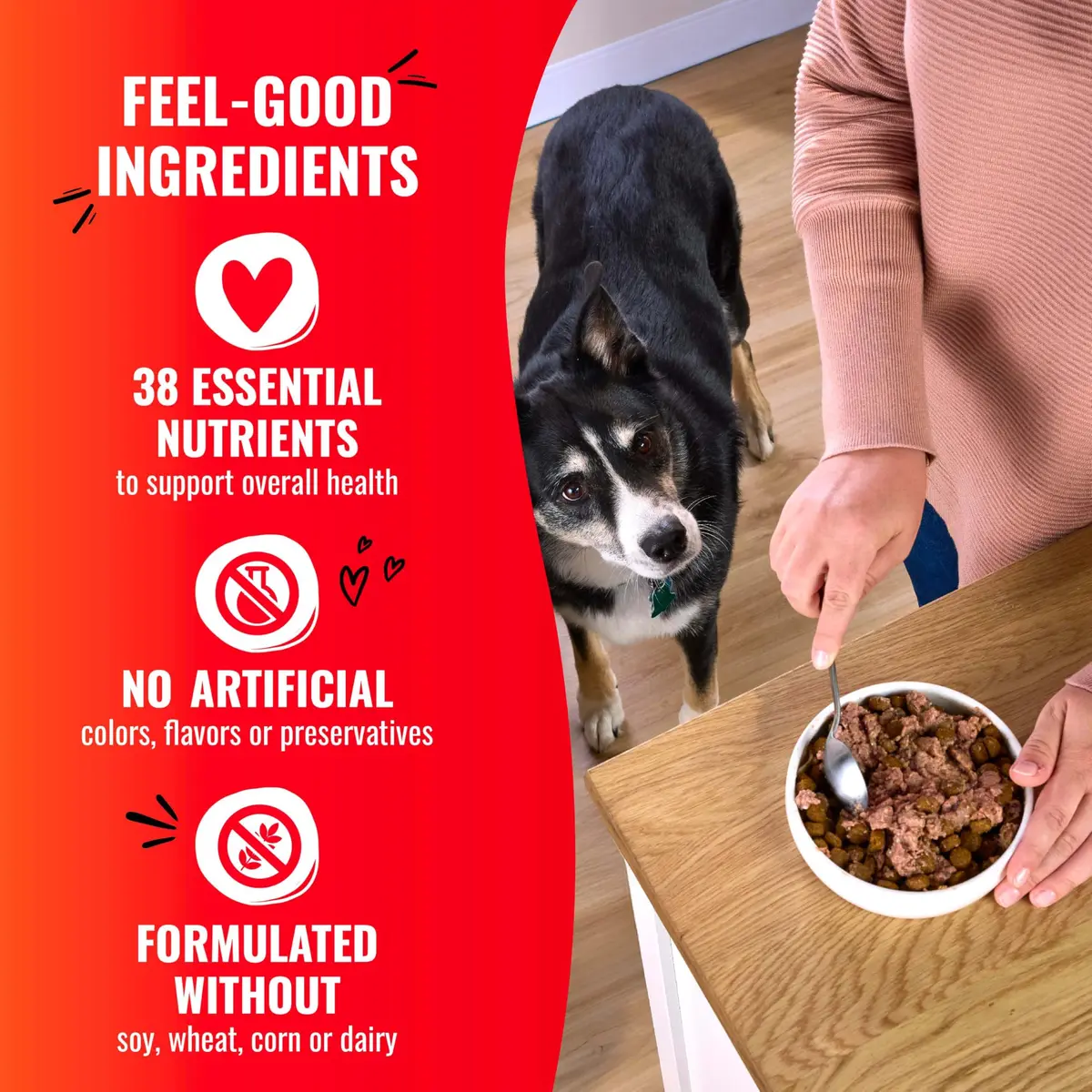 Good ‘N’ Tasty Pâté Suppers High Protein Wet Dog Food Variety Pack, 24 Count | Complete & Balanced for Adult Dogs - view 6