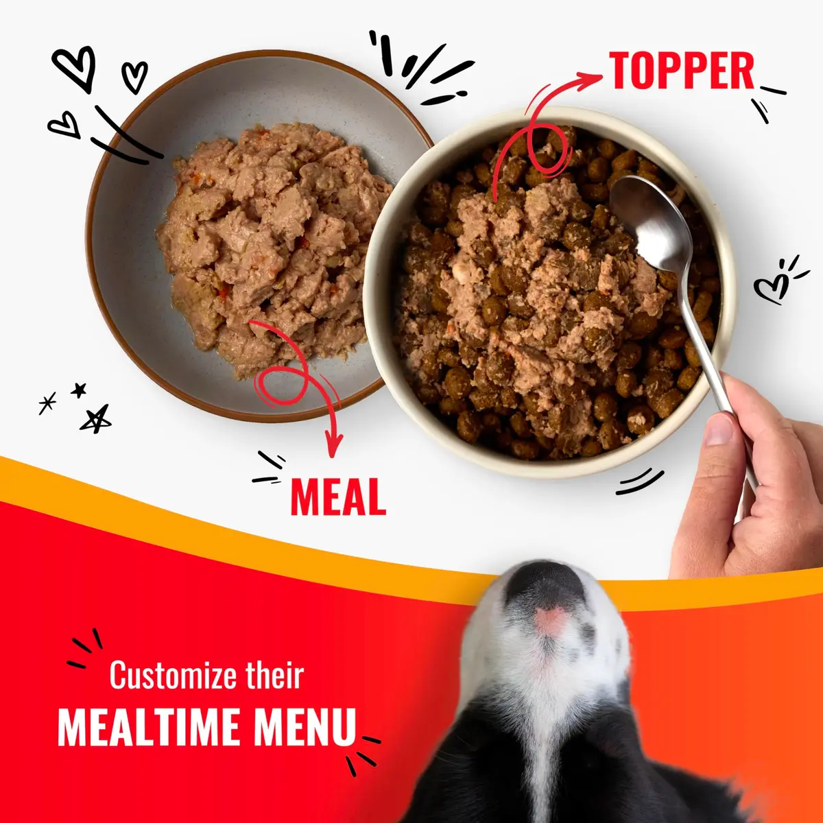 Good ‘N’ Tasty Pâté Suppers High Protein Wet Dog Food Variety Pack, 24 Count | Complete & Balanced for Adult Dogs - view 7