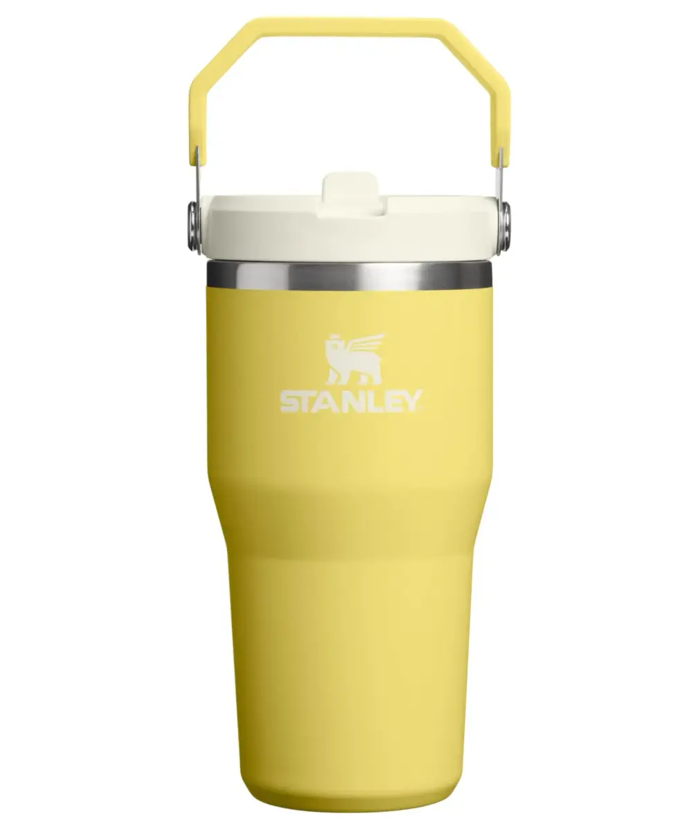 STANLEY IceFlow 2.0 Flip Straw Tumbler, 20 oz (590 ml) - Daffodil Yellow - main product image