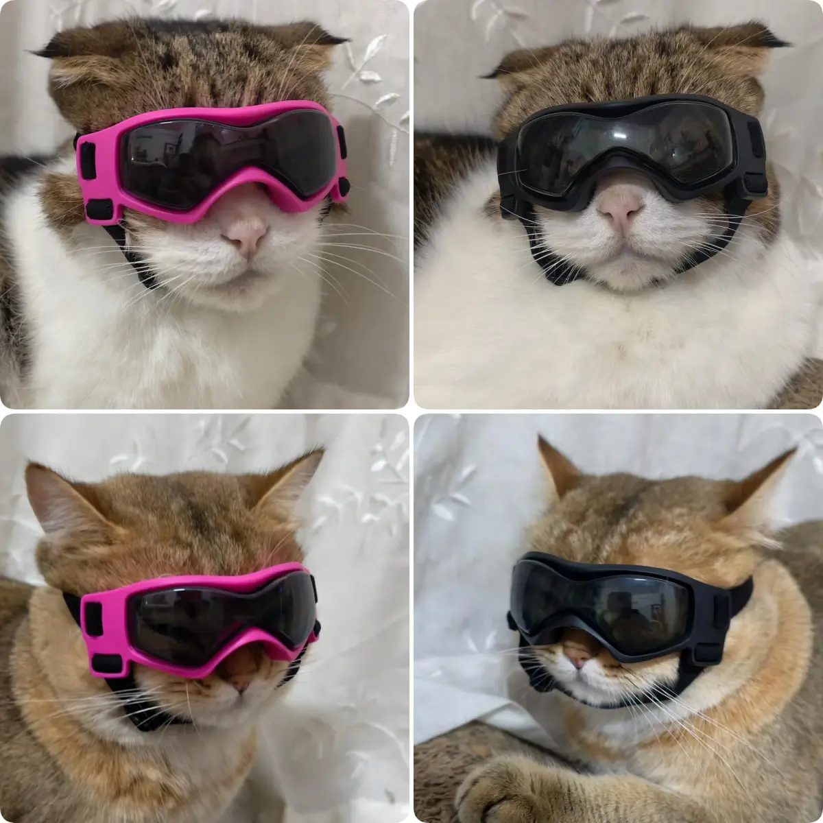 PETLESO Pink Dog Goggles for Small Breeds & Cats | 3.74 in Length, 1.38 in Width - view 2