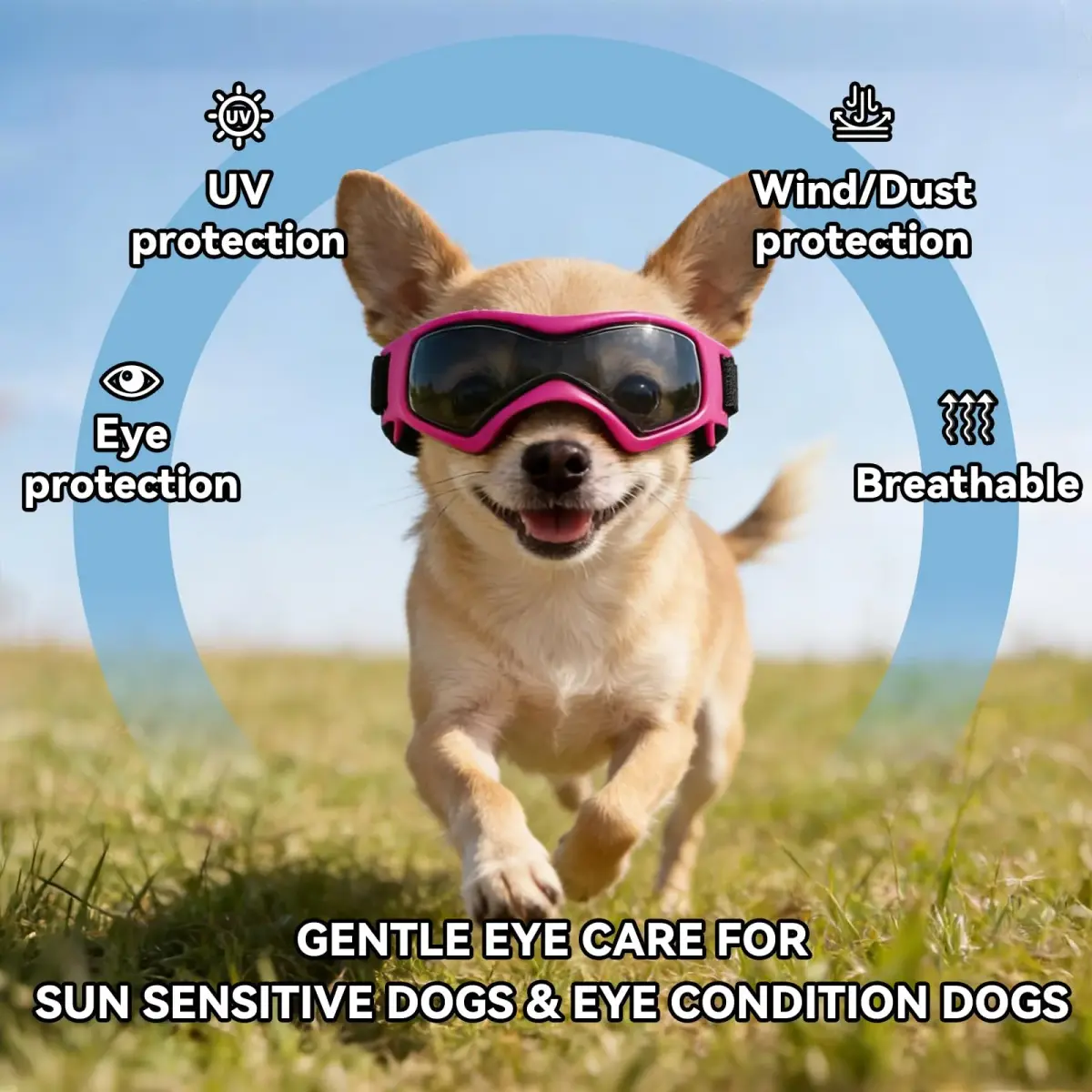 PETLESO Pink Dog Goggles for Small Breeds & Cats | 3.74 in Length, 1.38 in Width - view 4