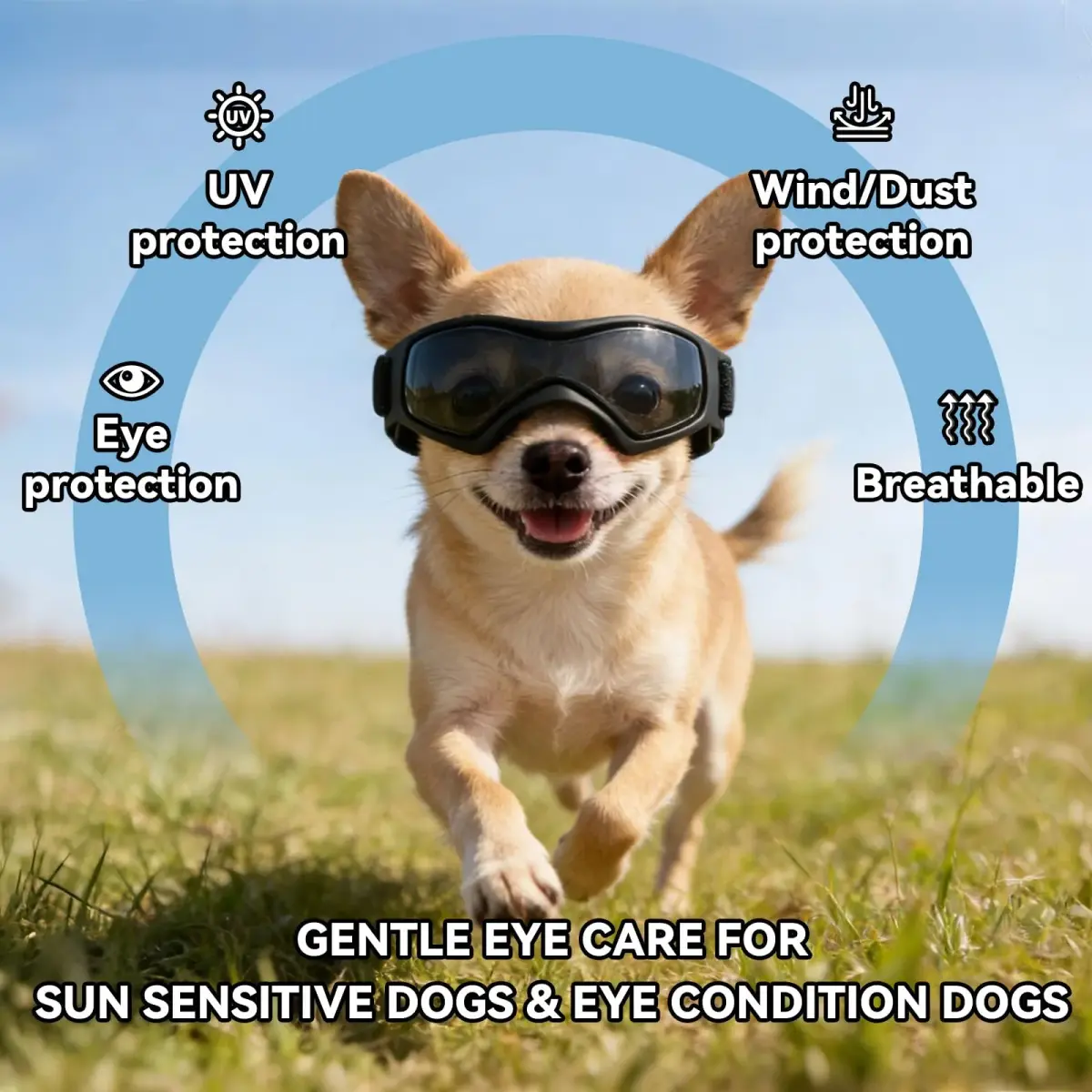PETLESO Black XS Dog Goggles | UV Protection for Small Breeds & Cats (3.74" L x 1.38" W) - view 4