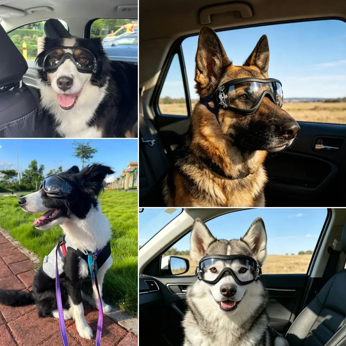 Enjoying Ultra Clear Dog Goggles for Large Breeds | UV Protection, Windproof & Adjustable - view 2