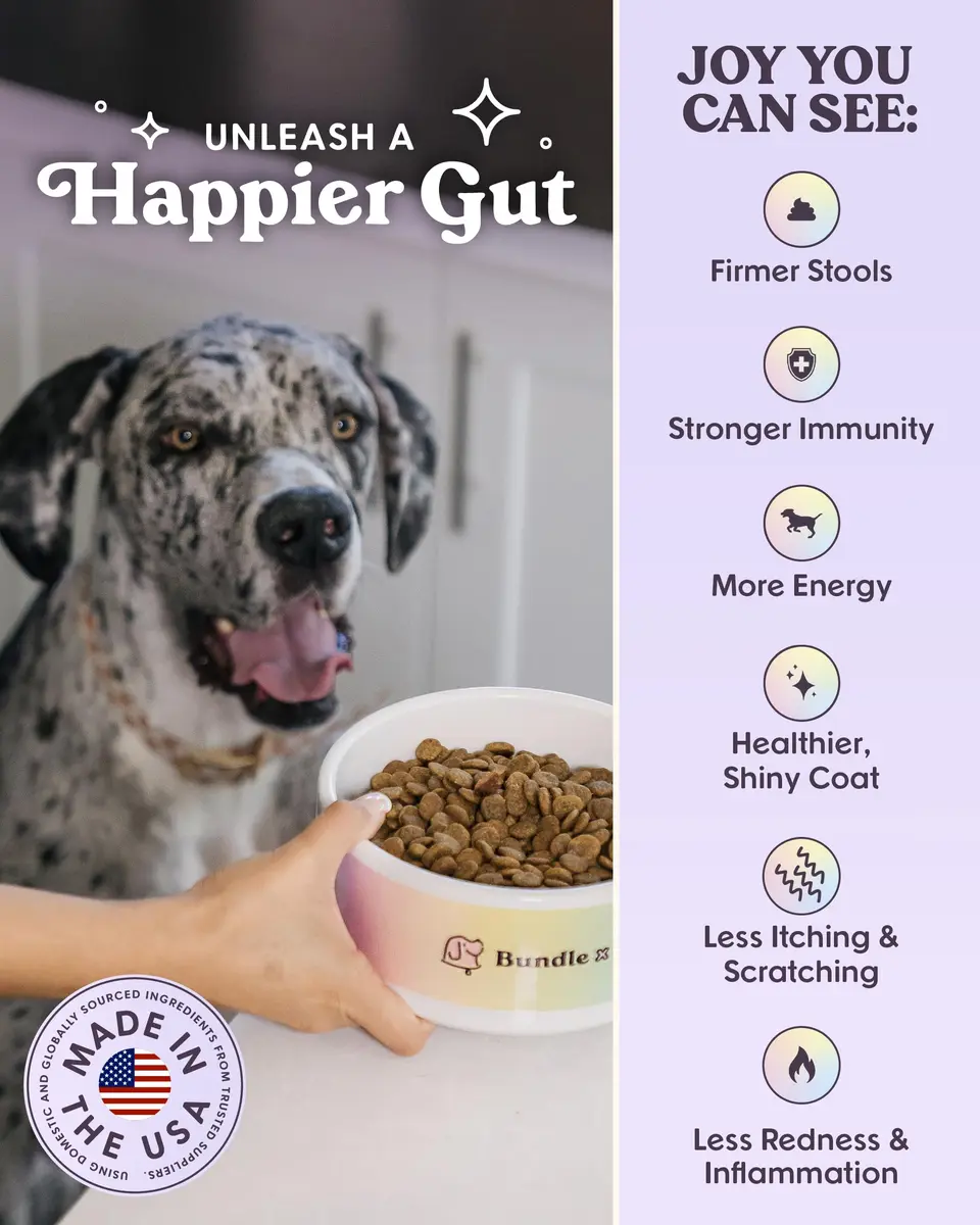Bundle x Joy Salmon Probiotic Dry Dog Food | Grain-Free, Poultry-Free, 24lb - view 4