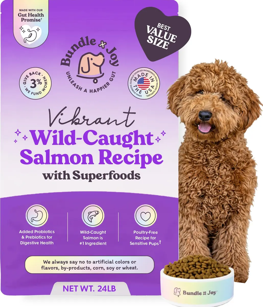 Bundle x Joy Salmon Probiotic Dry Dog Food | Grain-Free, Poultry-Free, 24lb - main product image