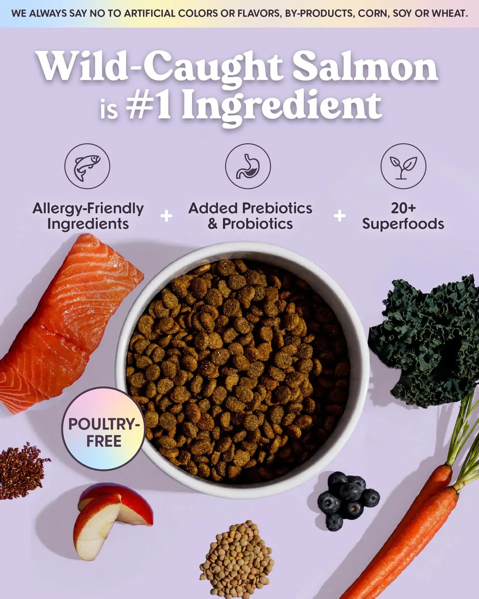 Bundle x Joy Salmon Probiotic Dry Dog Food | Grain-Free, Poultry-Free, 24lb - view 2