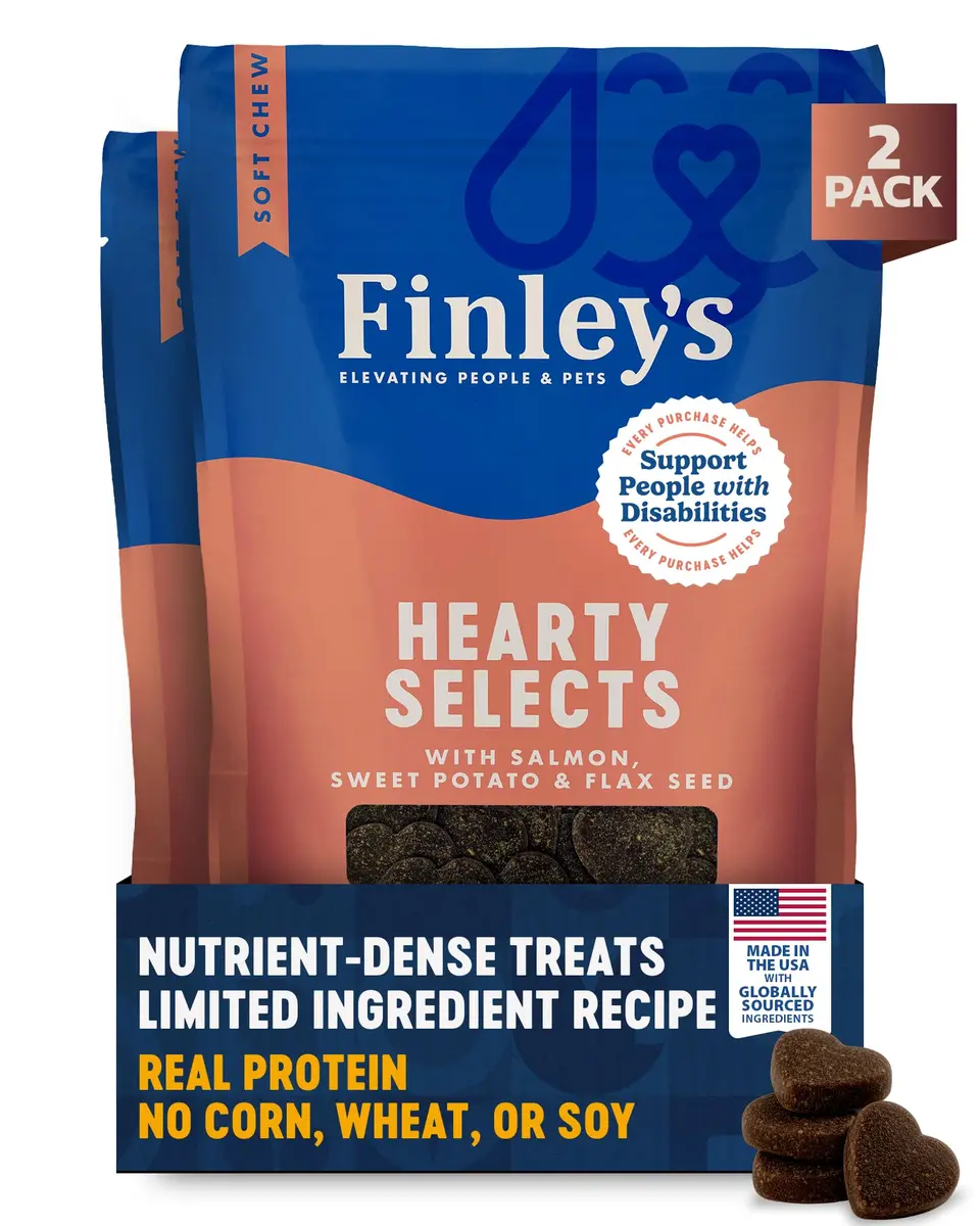 Finley's Salmon Hearty Bites Soft Chewy Dog Treats 12oz (340g) | Nutrient-Rich, Wholesome & Made in USA - main product image