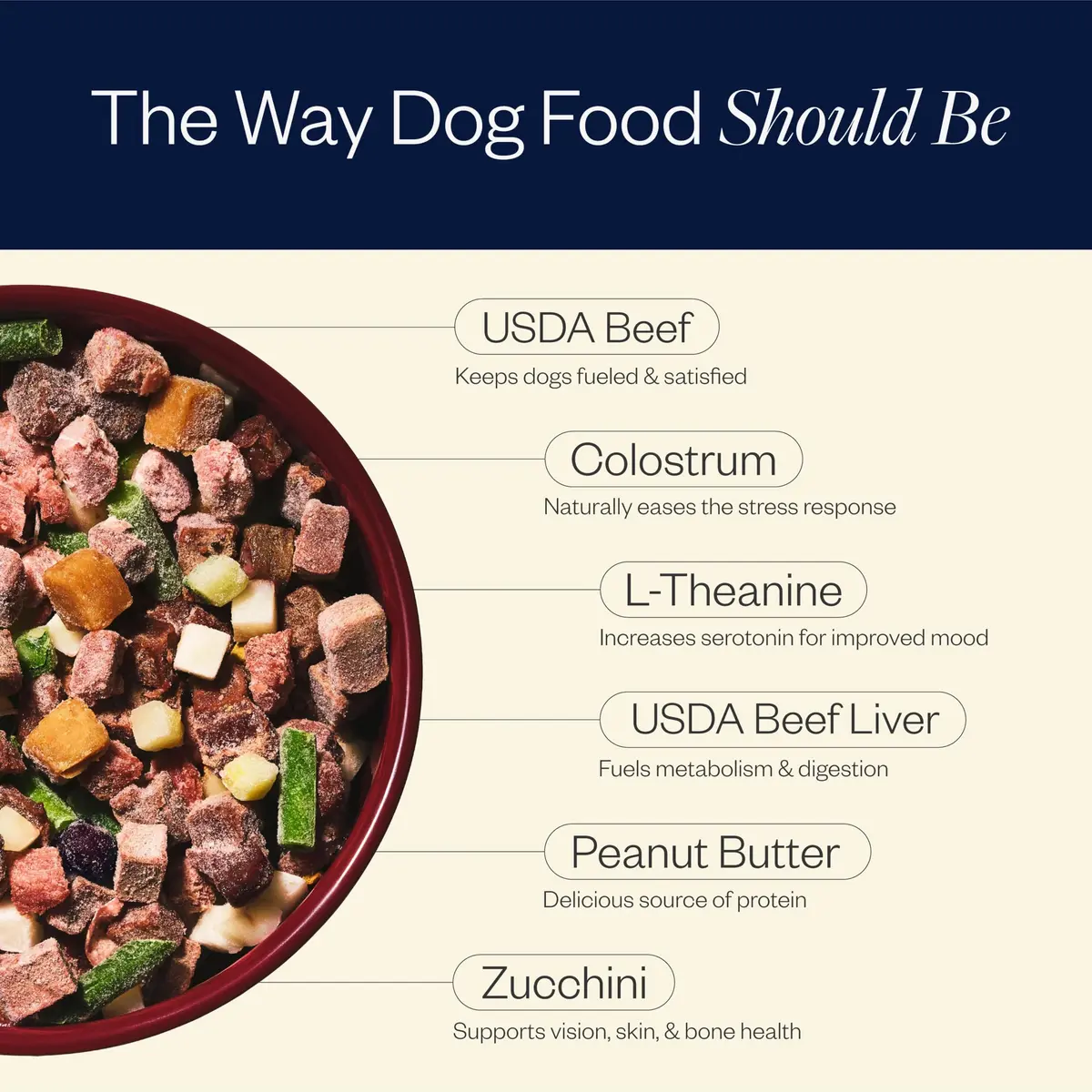 Maev Human-Grade Frozen Beef Dog Food 10 lb | Anxiety & Calming Support - view 4