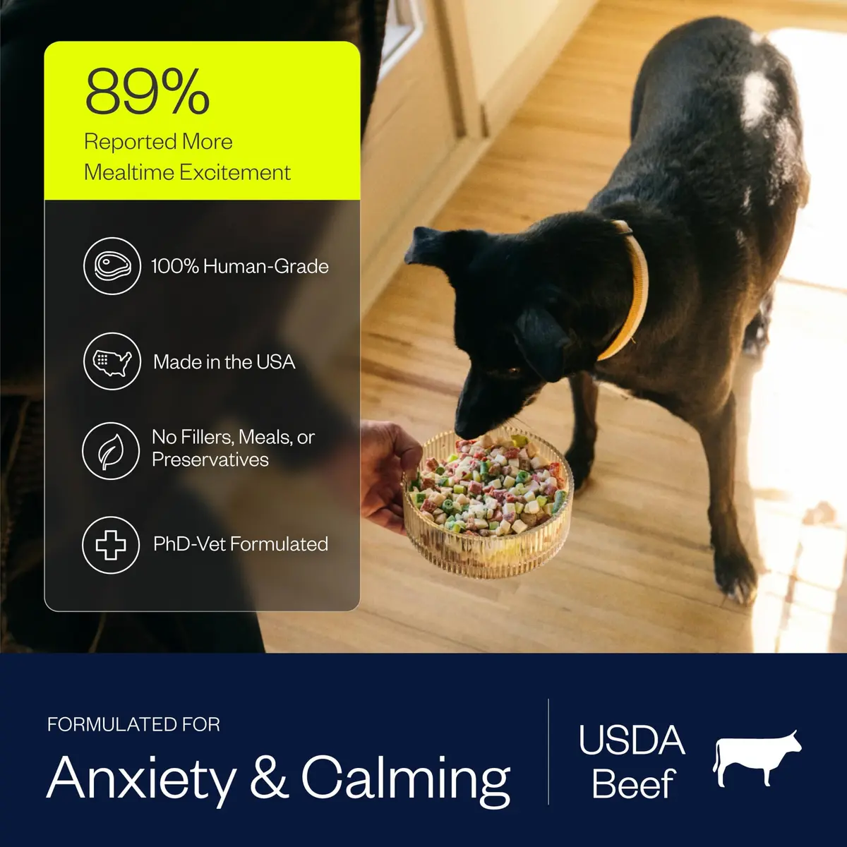 Maev Human-Grade Frozen Beef Dog Food 15 lb | Calming & Anxiety Support with Real Beef - view 3