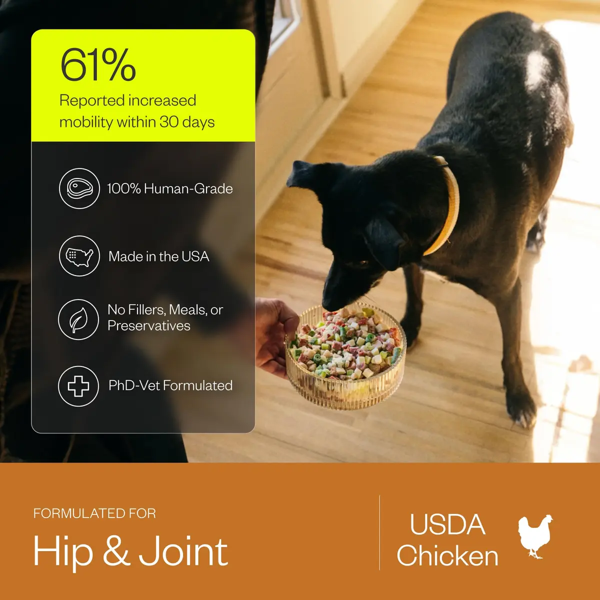 Maev Human-Grade Frozen Chicken Dog Food, Hip & Joint Support, 30 lb | Supports Mobility & Long-Term Health - view 3