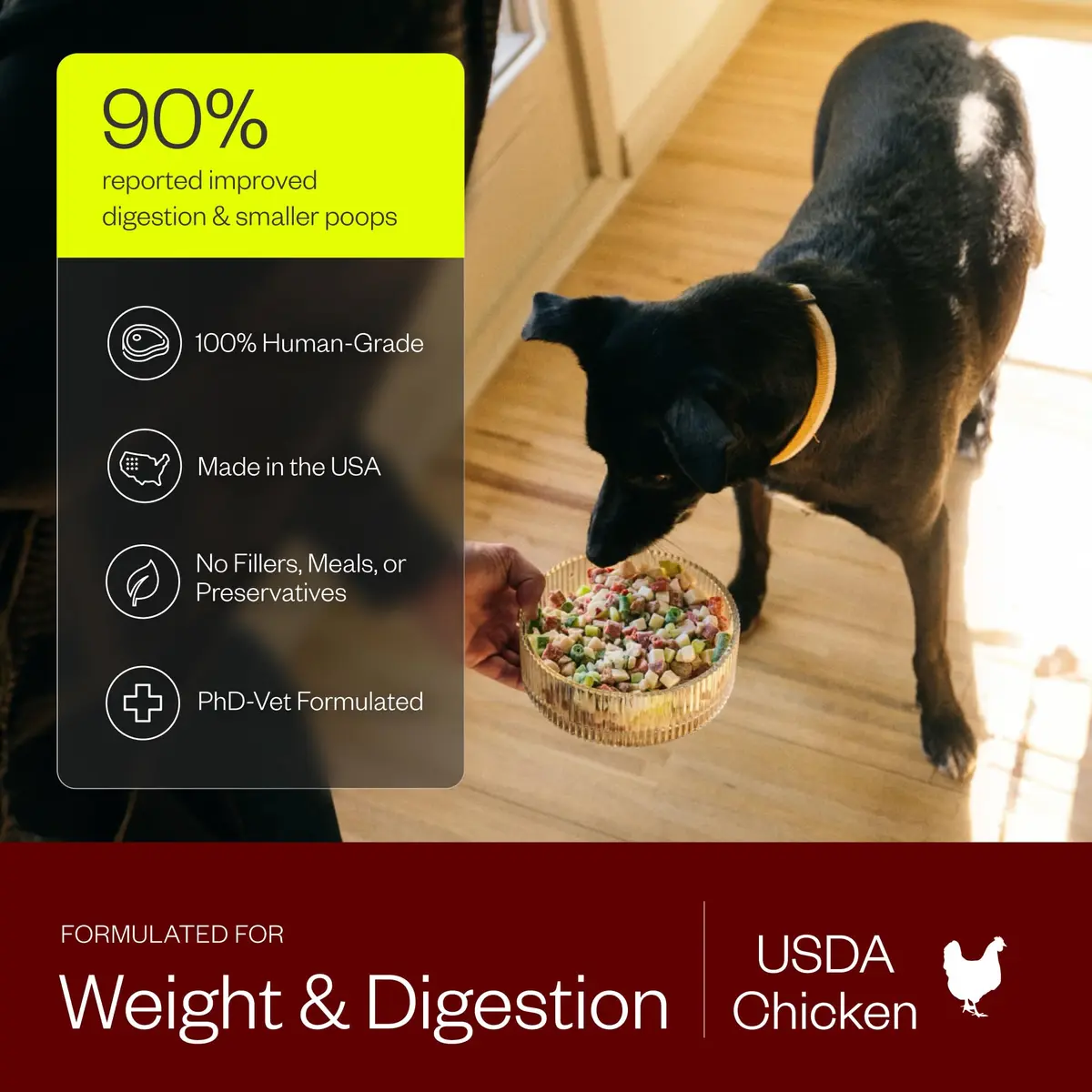 Maev Human-Grade Frozen Chicken Dog Food 10 lb | Supports Digestion & Weight - view 3