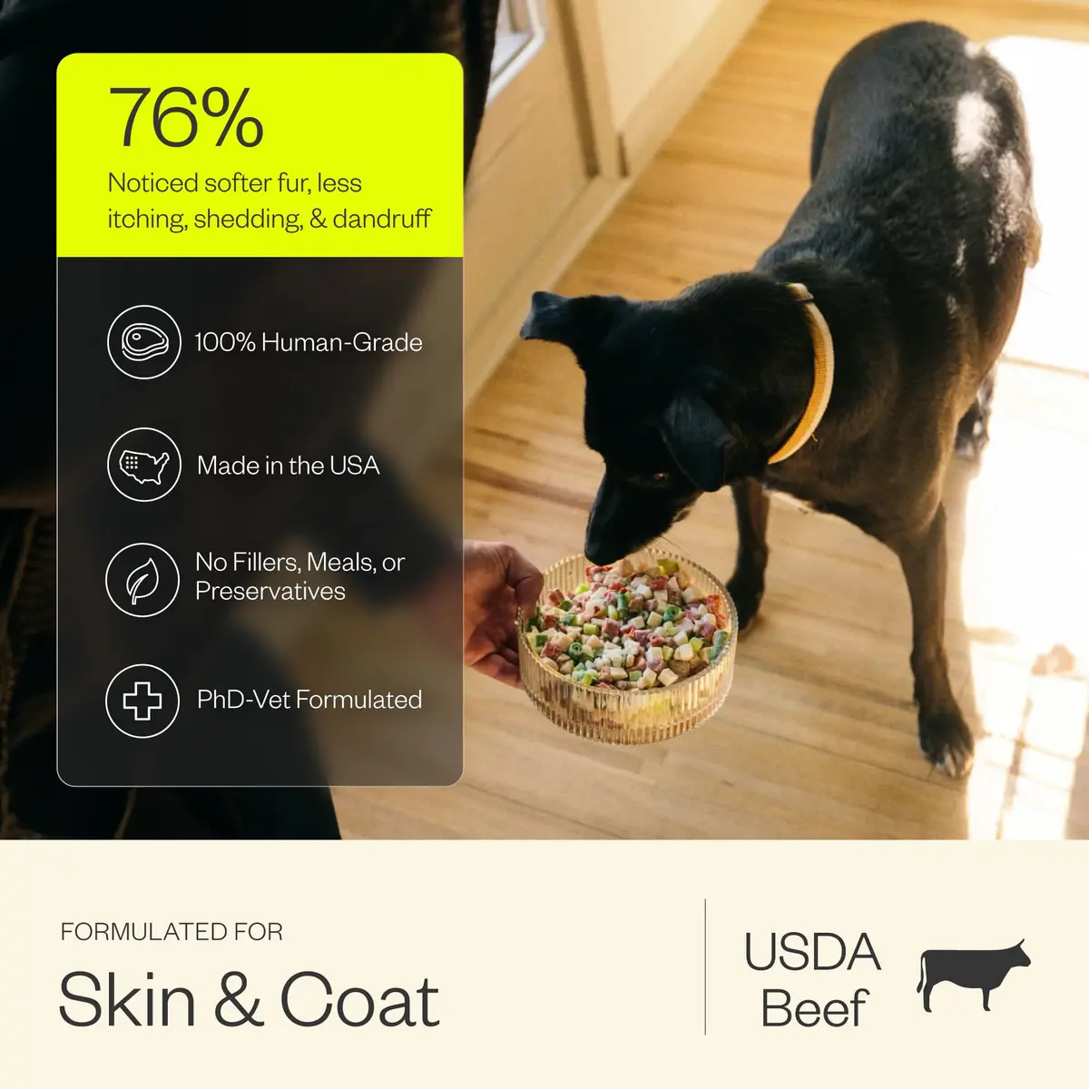 Maev Human-Grade Frozen Beef Dog Food 15 lb | Supports Skin & Coat, Made in USA - view 3