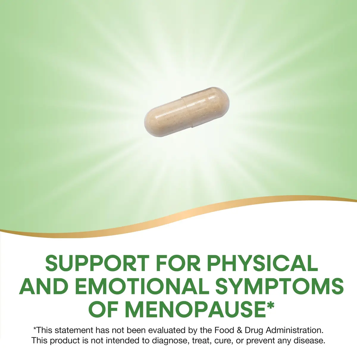 Nature's Way Black Cohosh Premium Extract Vegan Capsules 240 Count (120 Count Pack of 2) | Menopause Support with 40 mg per Serving - view 3