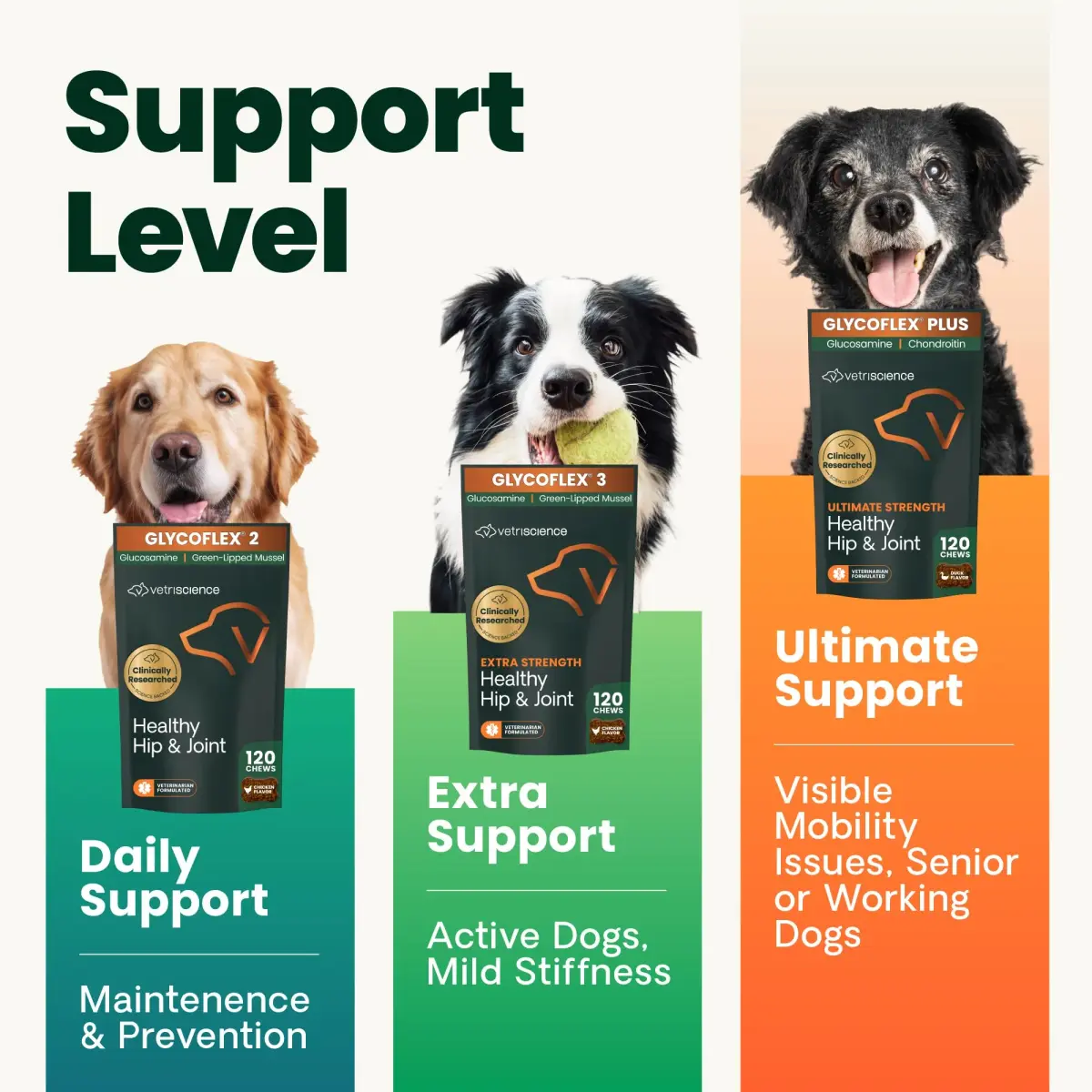 VetriScience Extra Strength Healthy Hip & Joint Chews for Dogs, 120 Chews (Pack of 2) | Advanced Joint Support for Mobility & Flexibility - view 2